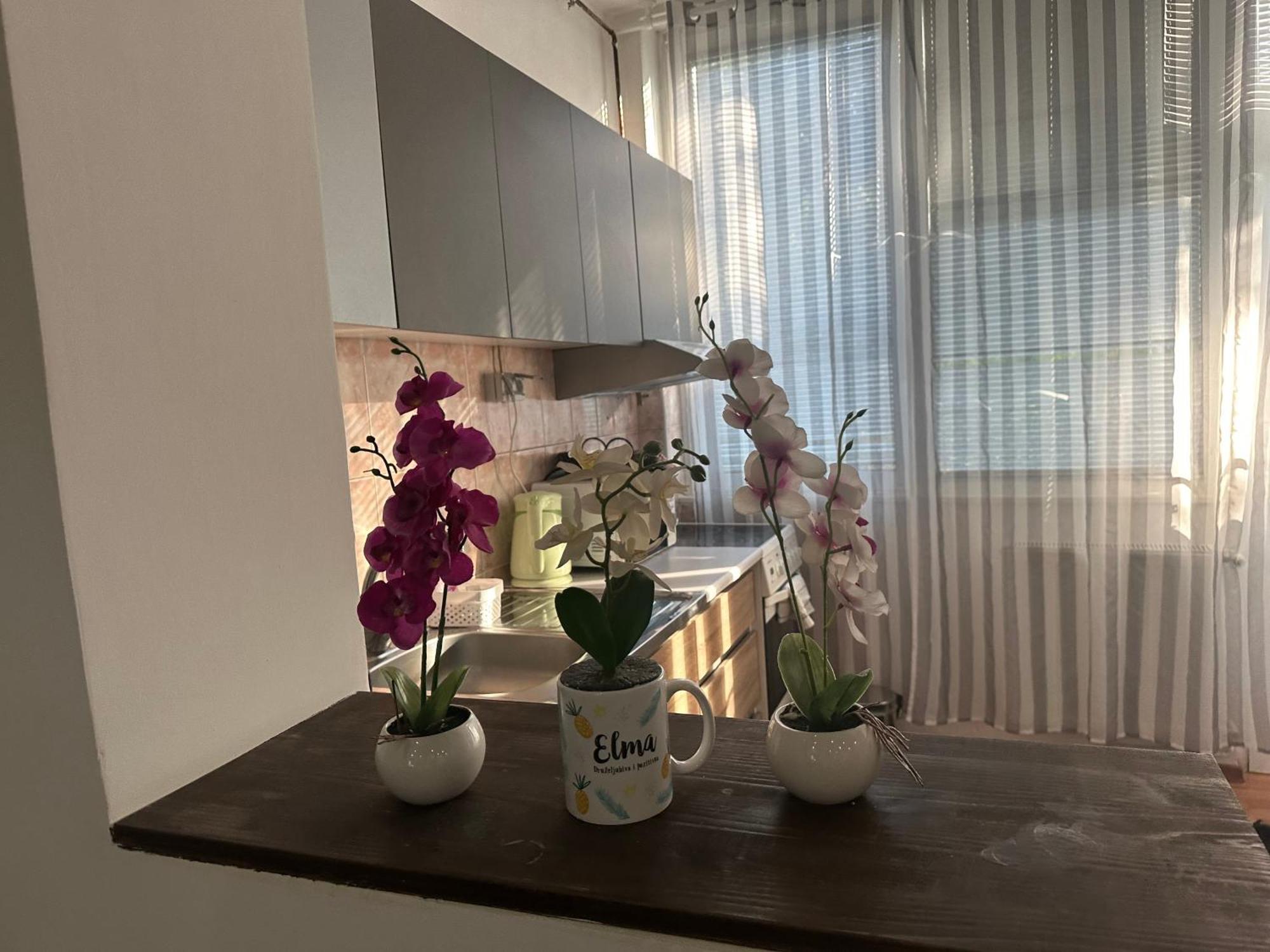 Elma Apartments Σαράγεβο Εξωτερικό φωτογραφία